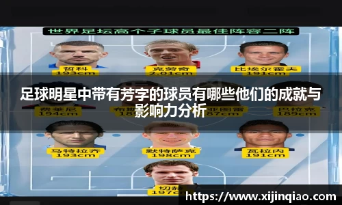 芒果体育官网入口